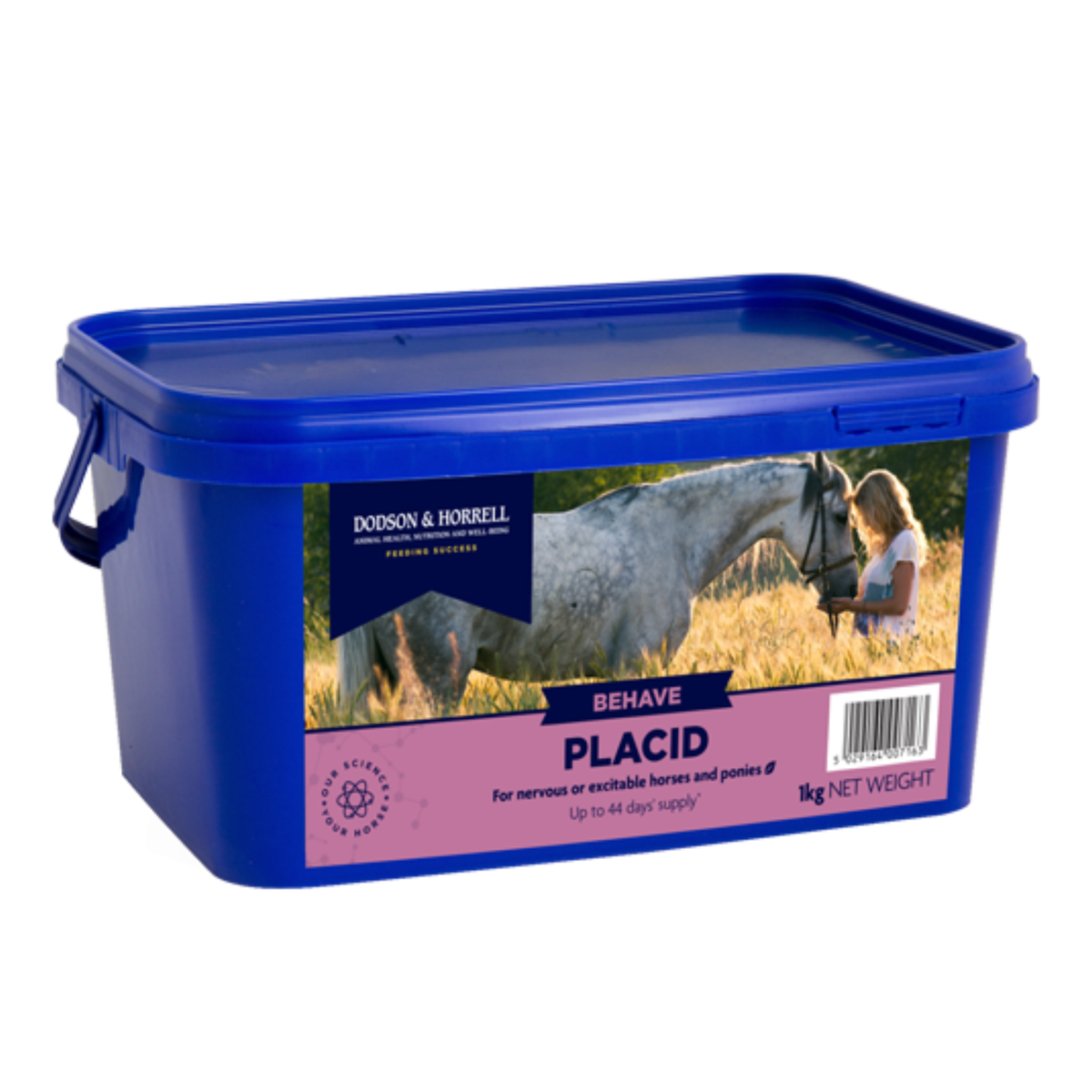 D&H Placid