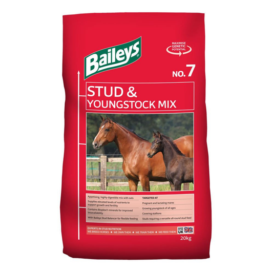 Baileys Stud & Youngstock Mix