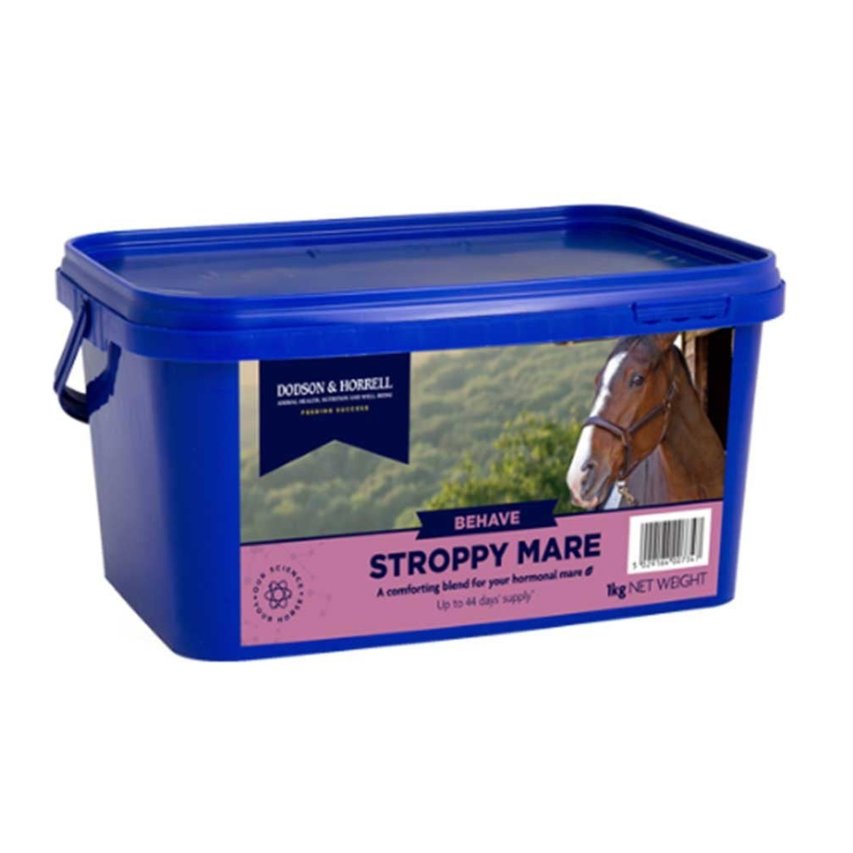 D&H Stroppy Mare