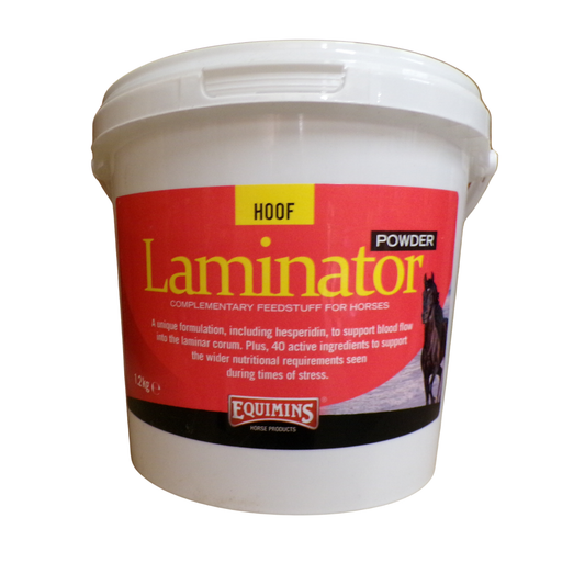 Equimins Laminator