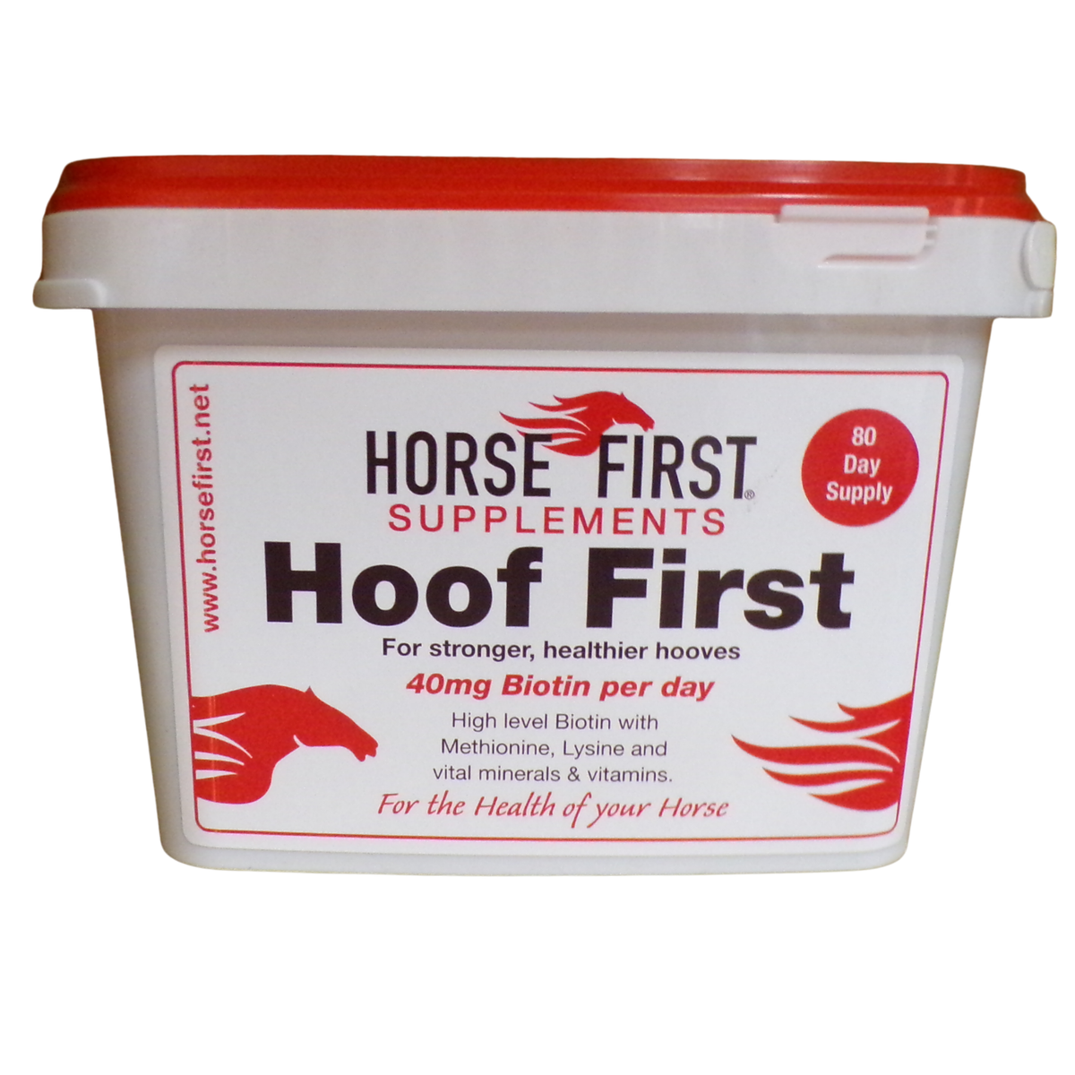 Horse First Hoof First