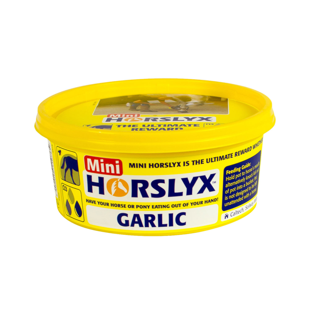 Horslyx Mini