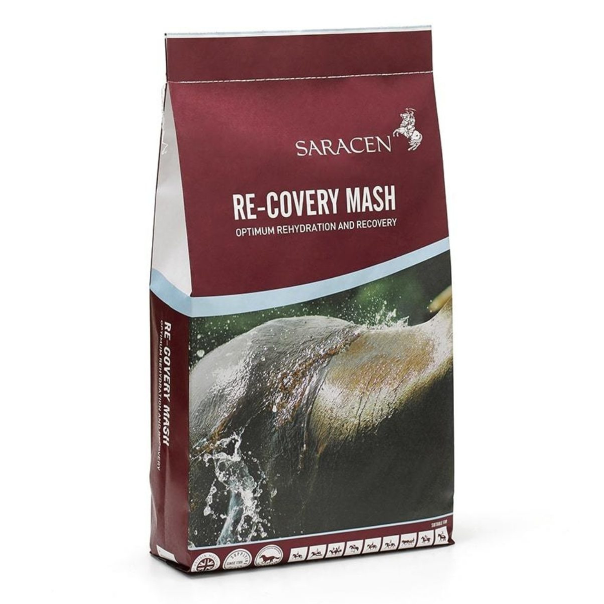 Saracens Recovery Mash