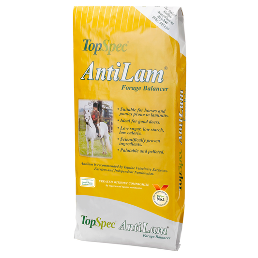 TopSpec Anti Lam